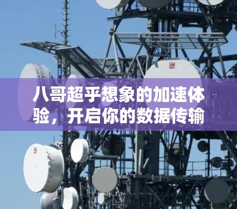 八哥超乎想象的加速体验，开启你的数据传输新纪元