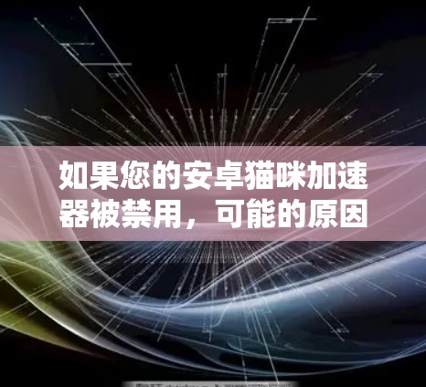 如果您的安卓猫咪加速器被禁用，可能的原因包括以下几种情况
