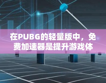 在PUBG的轻量版中，免费加速器是提升游戏体验的工具，可以帮助玩家更快完成任务和挑战。以下是一些常见的加速器及其使用方法和作用