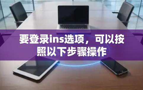 要登录ins选项，可以按照以下步骤操作