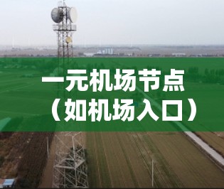 一元机场节点（如机场入口）的订阅通常指的是机场管理方（如机场管理部门、票务管理软件或平台）提供的订阅服务，旨在管理旅客的票务、设施维护、信息维护等。以下是一元机场节点订阅的常见需求及处理步骤