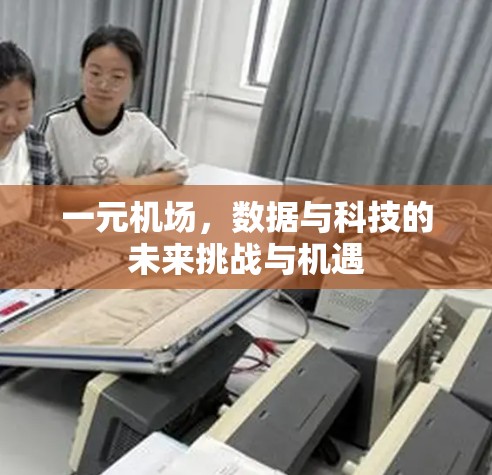 一元机场，数据与科技的未来挑战与机遇