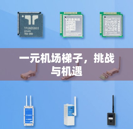 一元机场梯子，挑战与机遇