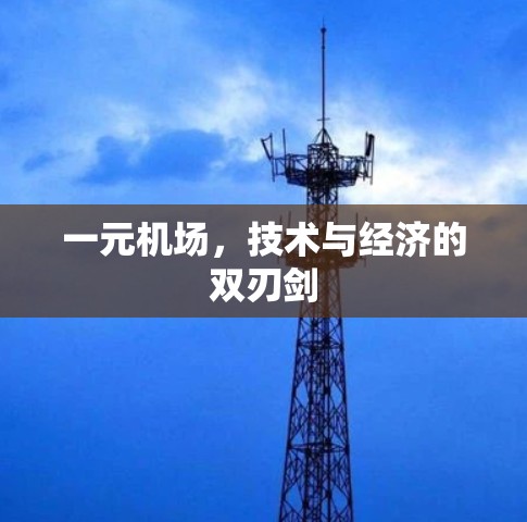 一元机场，技术与经济的双刃剑