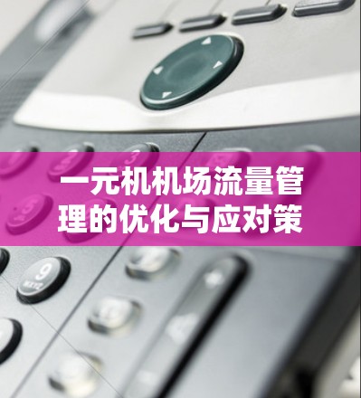 一元机机场流量管理的优化与应对策略