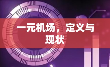 一元机场，定义与现状