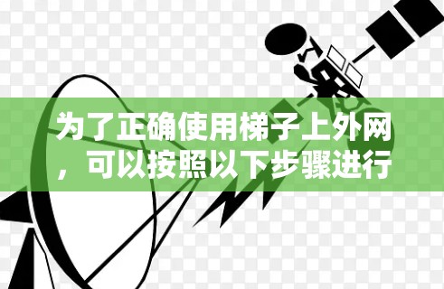 为了正确使用梯子上外网，可以按照以下步骤进行