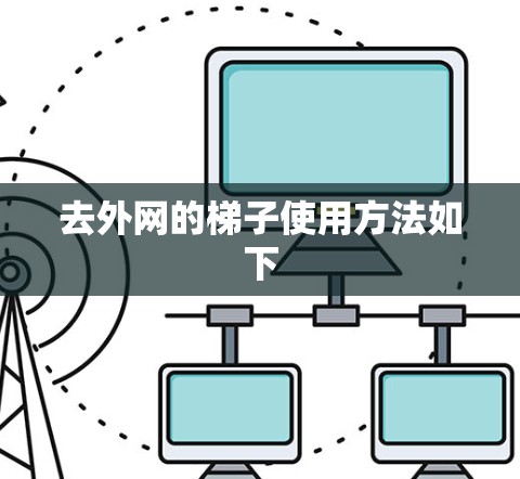 去外网的梯子使用方法如下