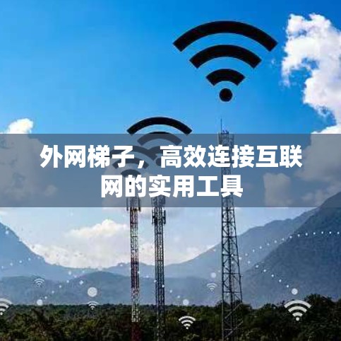 外网梯子，高效连接互联网的实用工具