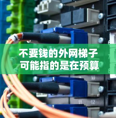 不要钱的外网梯子 可能指的是在预算有限的情况下，寻找更经济实惠的解决方案。以下是一些可能的解决方案