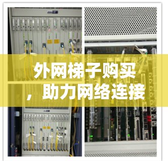 外网梯子购买，助力网络连接，助力数据流