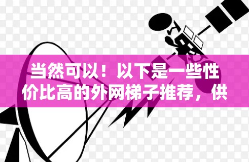 当然可以！以下是一些性价比高的外网梯子推荐，供您参考