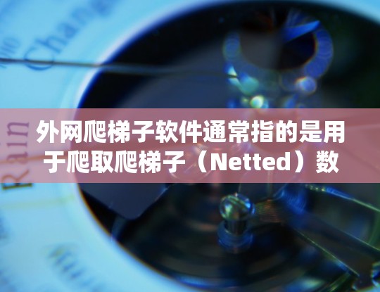 外网爬梯子软件通常指的是用于爬取爬梯子（Netted）数据的工具。爬取爬梯子数据可能需要使用脚本脚本或爬虫工具来实现