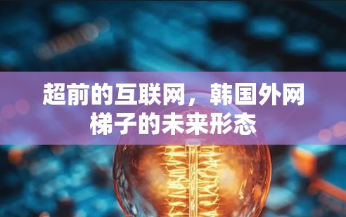 超前的互联网，韩国外网梯子的未来形态