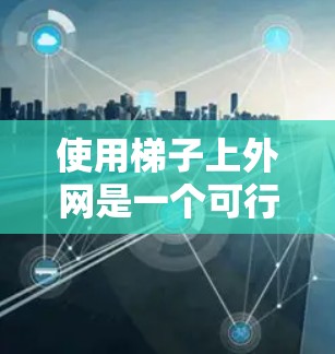 使用梯子上外网是一个可行且经济的选择，以下是一些关键步骤和信息