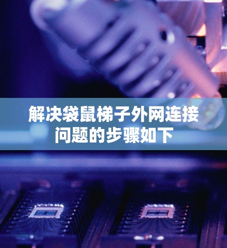 解决袋鼠梯子外网连接问题的步骤如下