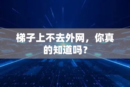梯子上不去外网，你真的知道吗？