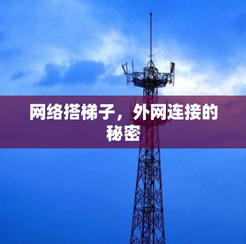 网络搭梯子，外网连接的秘密