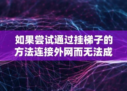 如果尝试通过挂梯子的方法连接外网而无法成功，可能是由于以下原因
