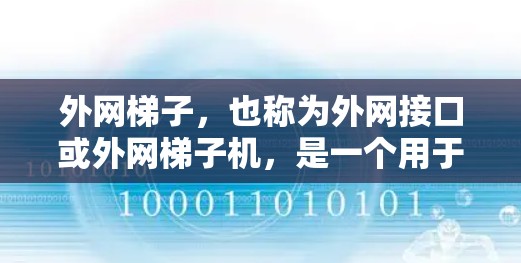 外网梯子，也称为外网接口或外网梯子机，是一个用于连接到互联网的路由器或交换机的接口。它的主要功能包括