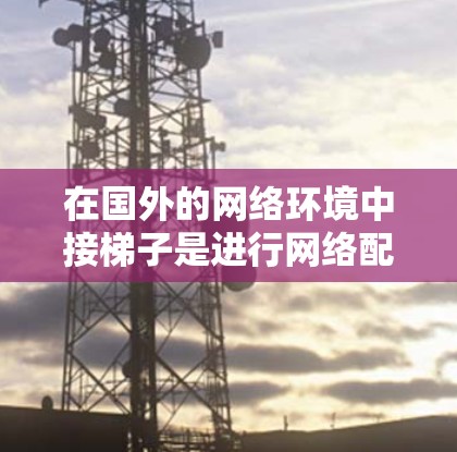 在国外的网络环境中接梯子是进行网络配置和管理的重要步骤。以下是一个详细且结构化的指南，帮助您顺利完成这一过程