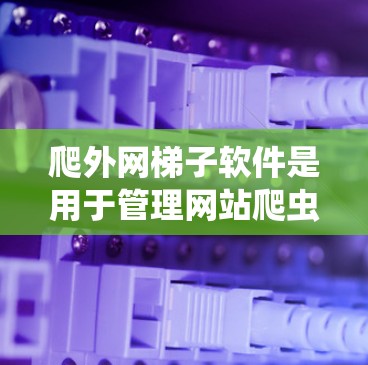 爬外网梯子软件是用于管理网站爬虫的工具，帮助管理员维护和监控网站的爬虫。以下是关于爬外网梯子软件的详细分析