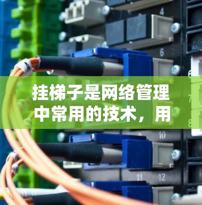 挂梯子是网络管理中常用的技术，用于连接外部服务器到内部服务器或外部网中的设备。以下是挂梯子的详细步骤指南