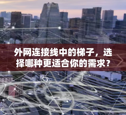 外网连接线中的梯子，选择哪种更适合你的需求？