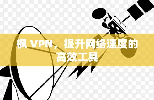 枫 VPN，提升网络速度的高效工具