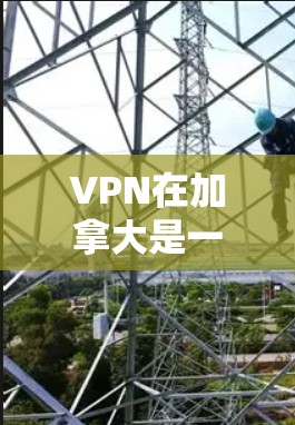 VPN在加拿大是一个常见的网络访问方式，用户可以通过VPN访问互联网。加拿大有许多 VPN 提供商，它们通常设有多个节点，方便用户在加拿大地区使用