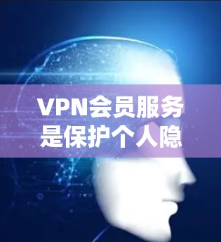 VPN会员服务是保护个人隐私和数据的重要手段，但也伴随着一定的风险。选择VPN服务时，需要综合考虑用户的实际需求、预算和安全意识。以下是一些综合性的VPN评价和推荐