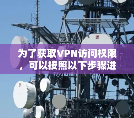 为了获取VPN访问权限，可以按照以下步骤进行