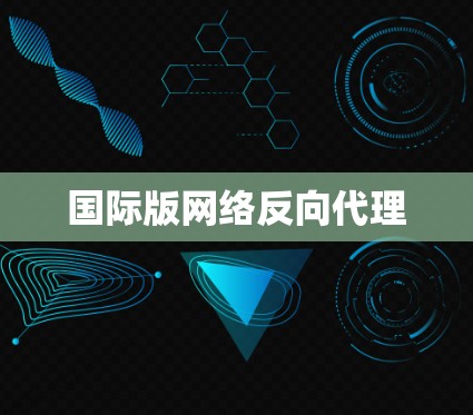 国际版网络反向代理