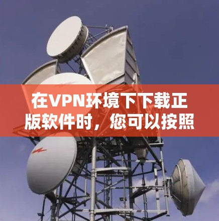 在VPN环境下下载正版软件时，您可以按照以下步骤进行操作