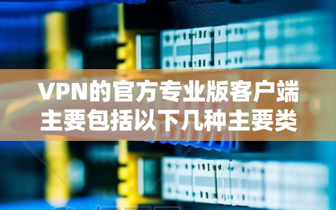 VPN的官方专业版客户端主要包括以下几种主要类型