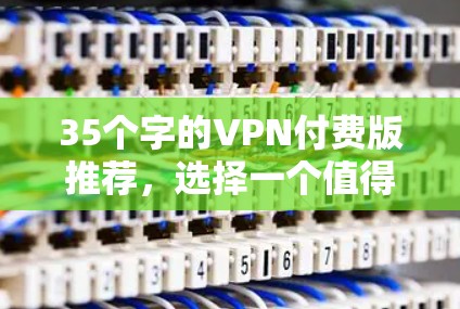 35个字的VPN付费版推荐，选择一个值得的方案