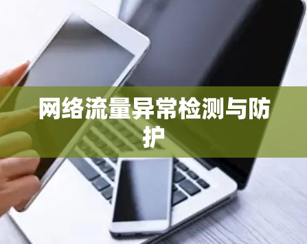 网络流量异常检测与防护