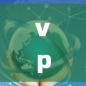 vpn服务器节点（VPN服务器节点）通常指的是在VPN网络中运行的服务器节点。这些节点是VPN系统中的一部分，负责处理视频会议、网络连接等任务，并为用户提供视频通话、文件传输等服务