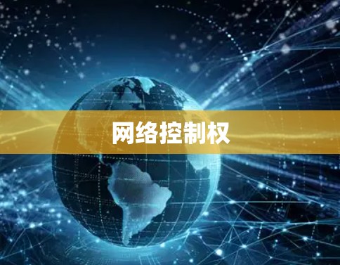 网络控制权