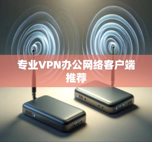 专业VPN办公网络客户端推荐