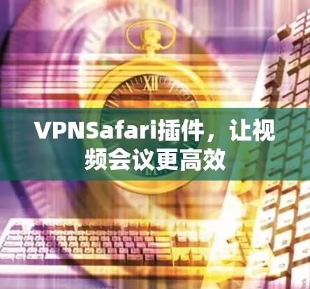 VPNSafari插件，让视频会议更高效