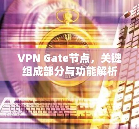 VPN Gate节点，关键组成部分与功能解析