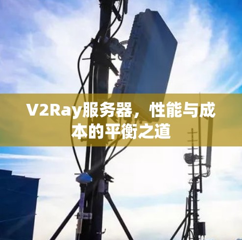 V2Ray服务器，性能与成本的平衡之道