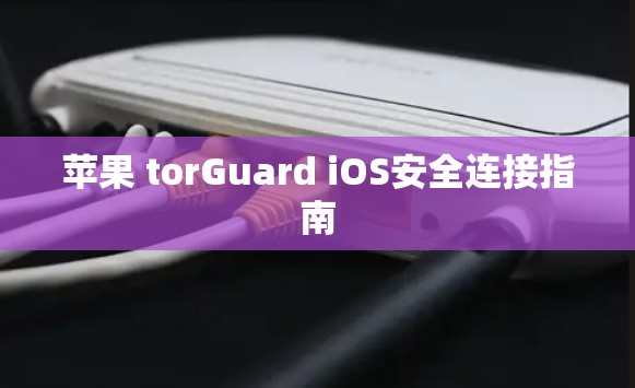 苹果 torGuard iOS安全连接指南