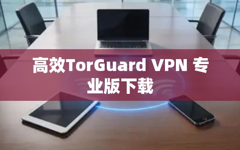 高效TorGuard VPN 专业版下载