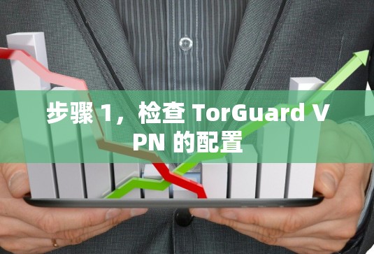 步骤 1，检查 TorGuard VPN 的配置